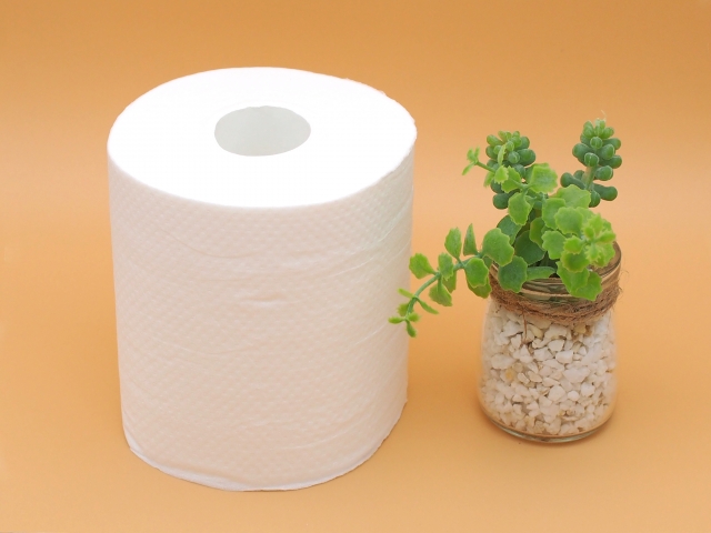 【セブ島旅行記】不安なことぜんぶ解決!持ち物・治安・物価は?絶対外さないお土産リスト トイレットペーパー