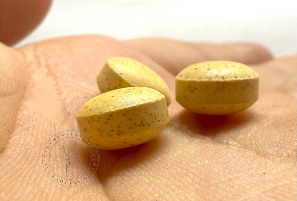 ファンケルのマルチビタミンミネラル Base POWER3粒を手のひらに出してみたところ