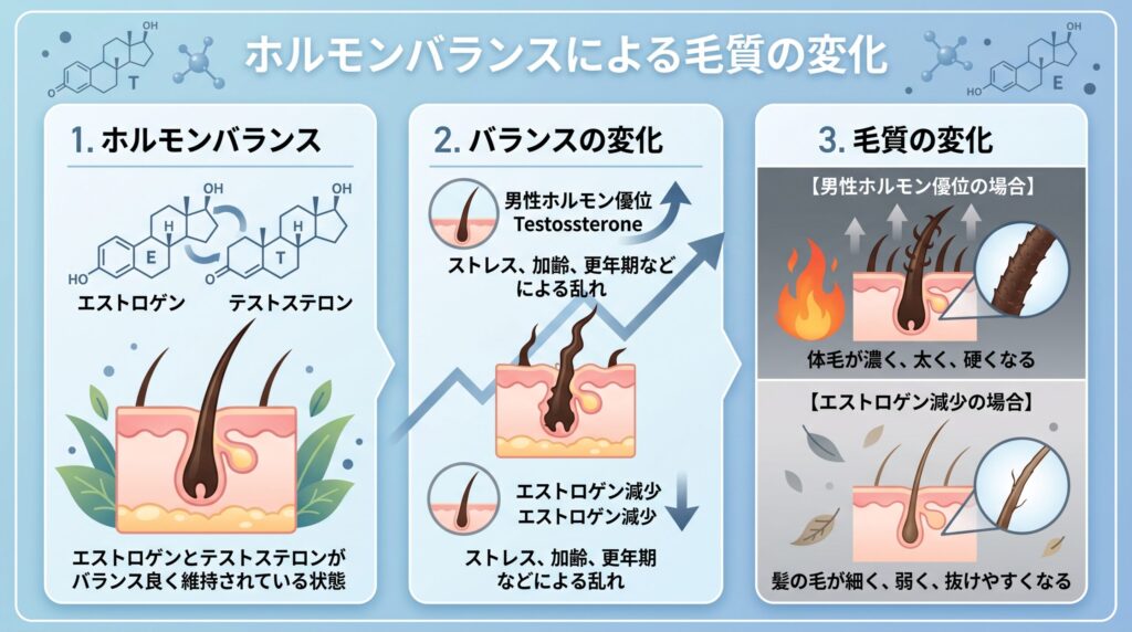 ホルモンバランスの変化による毛質の変化